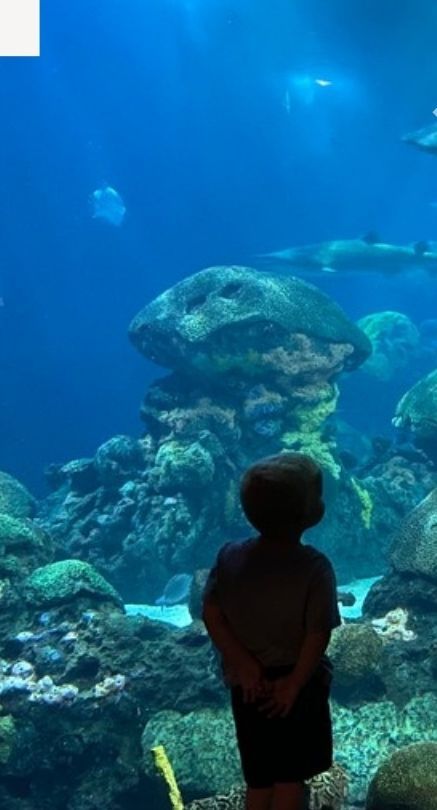 A child silhouetted against a huge blue aquarium tank